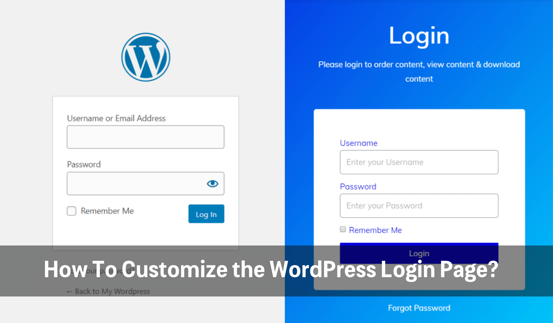 wordpress log in